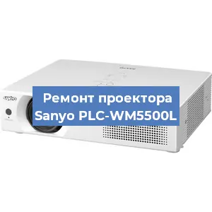 Замена блока питания на проекторе Sanyo PLC-WM5500L в Волгограде